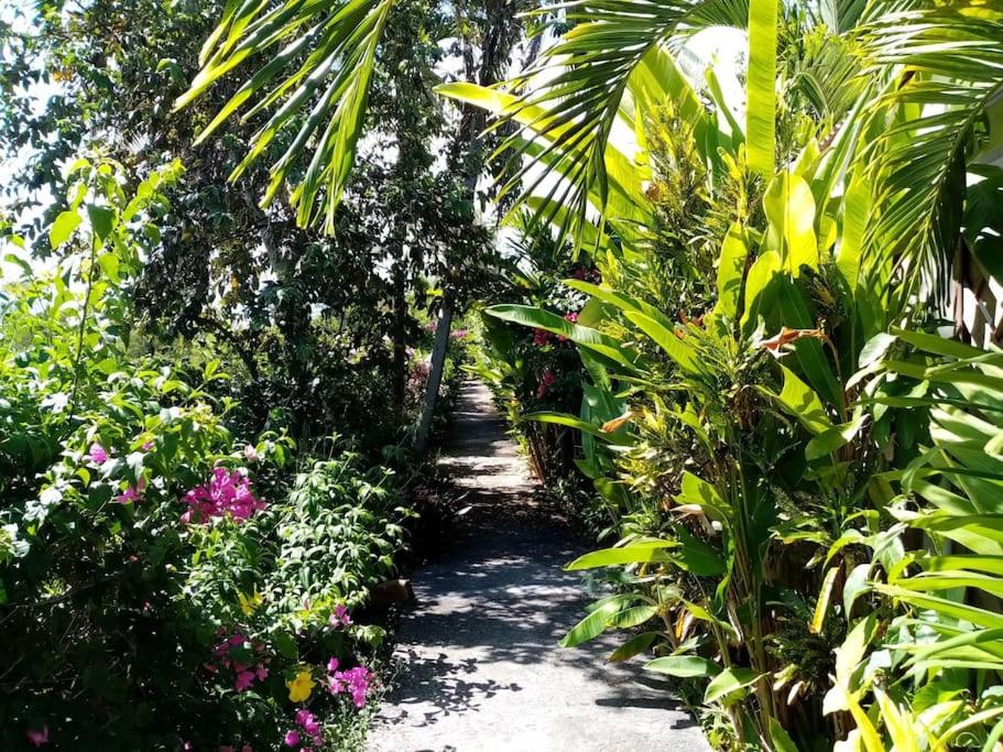 Bungalow papaye (casa boubou)