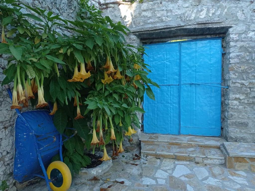 Vintage Mediterranean house