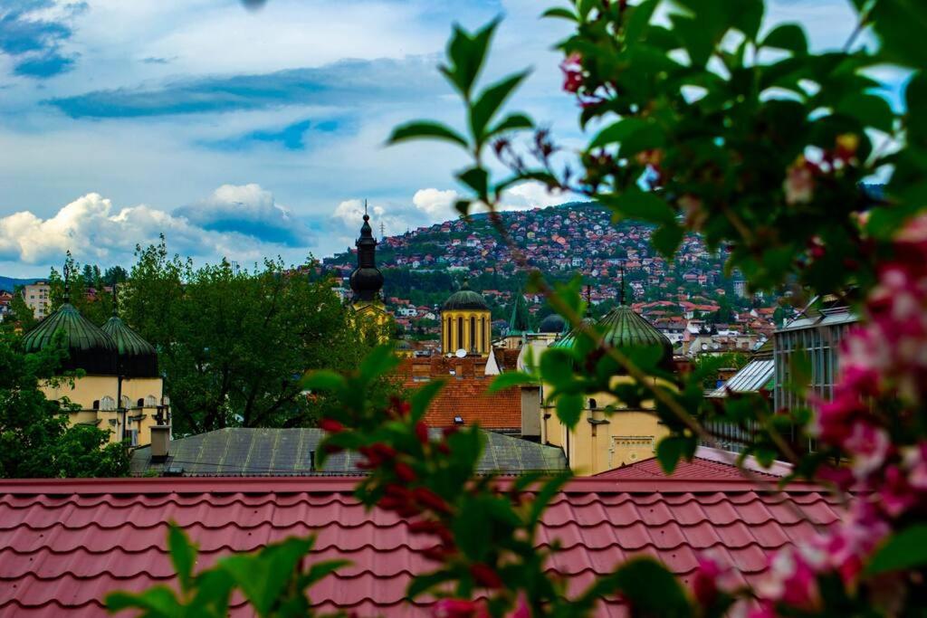 Udobna kuća u srcu starog grada & Besplatan parking!