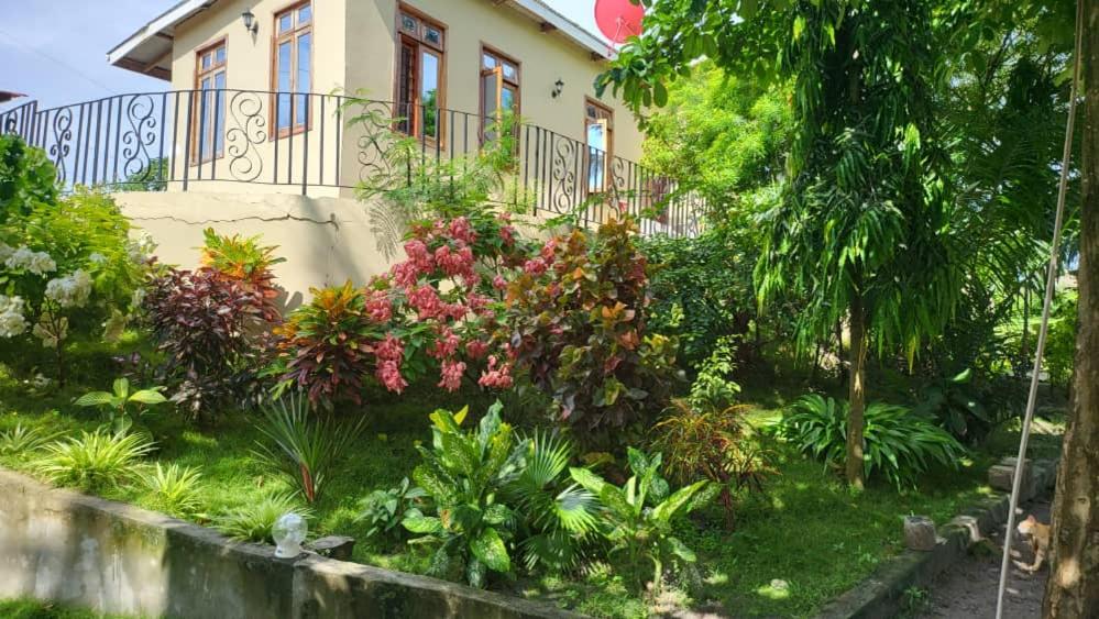 Funvilla Family House