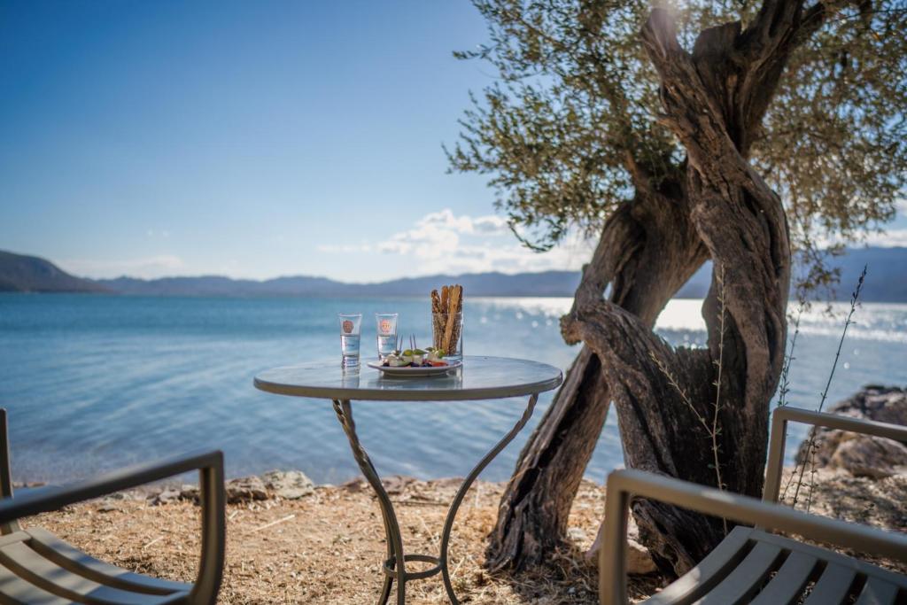 Traditional Stone House in Seafront Olive Grove A