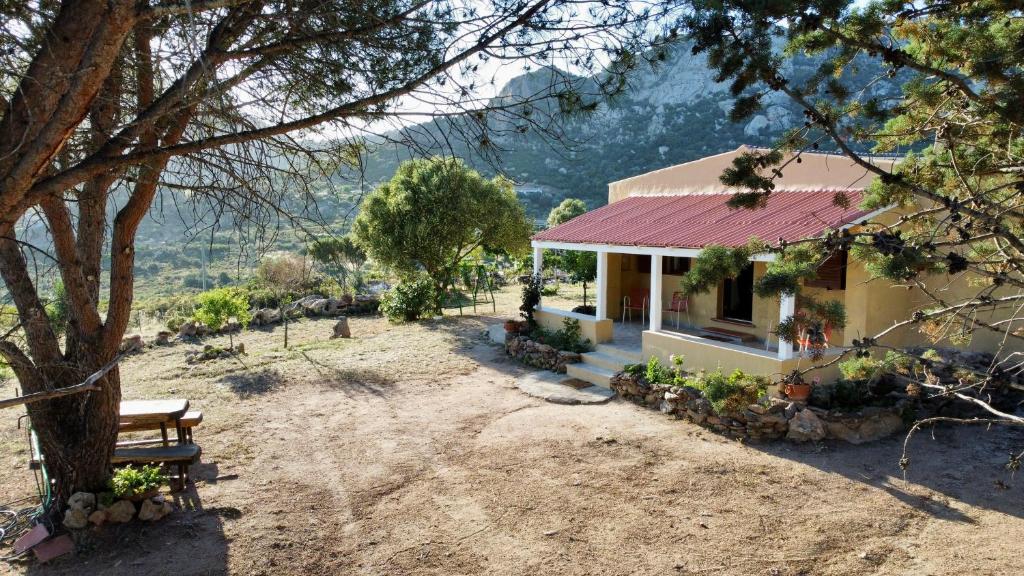 K&K House