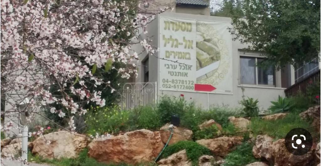 Mountainside experience in Amirim