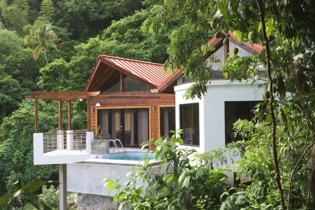 Serrana Villa -Contemporary $1M Piton View Retreat