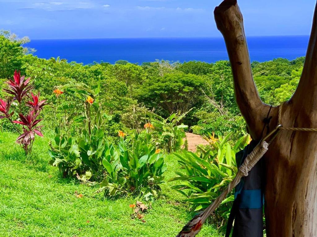 Casa Guajira