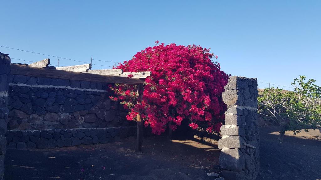 Relax-Oasis Vasiliko Lanzarote -