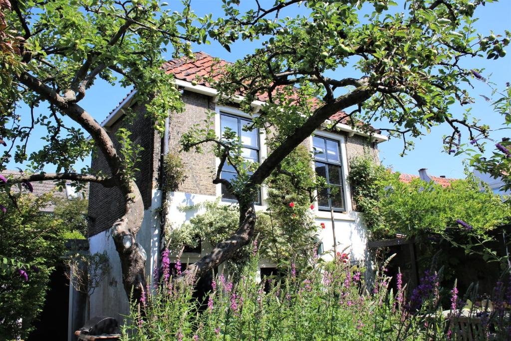 Apple Tree Cottage - discover this charming home at beatiful canal in our idyllic garden