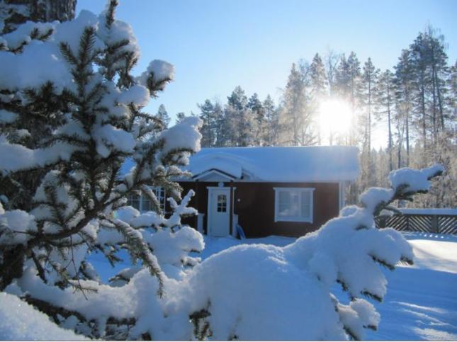 Ekokatti Cottages