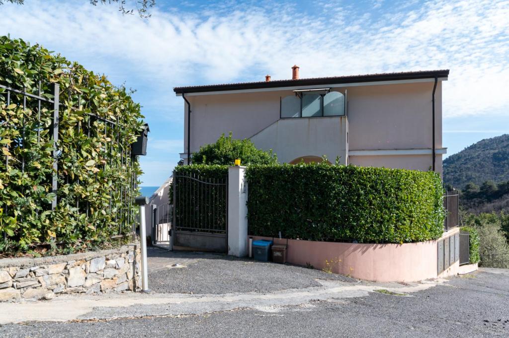 L'Ulivo di Cecilia