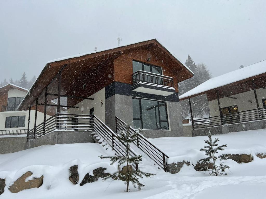 Mount Inn Villa