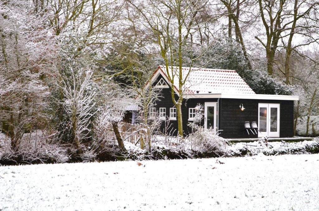 PRIVÉ IN EEN BOSRIJKE OMGEVING Welkom bij gastenverblijf het ontsnapte schaap in Jubbega