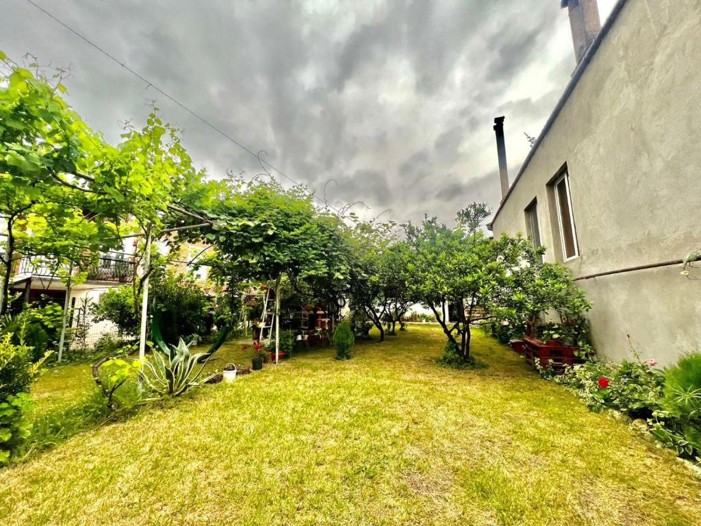 House of greenery