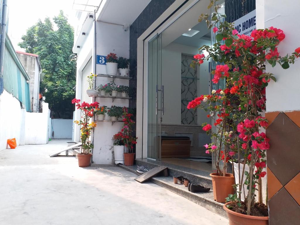 BBNC Homestay