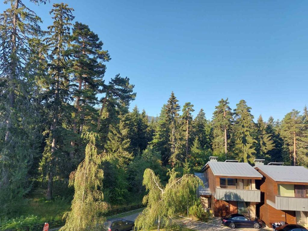 Residence E205 Euphoria Borovets