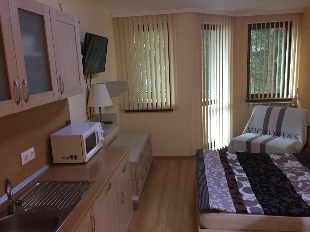 Villa Park Luxury Studio