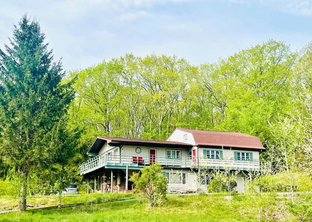 Catskill Cabin Zen Mantra Apt